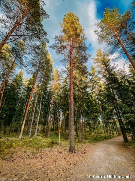 Foto von unterwegs