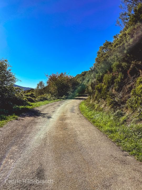Foto von unterwegs