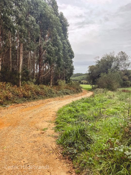 Foto von unterwegs