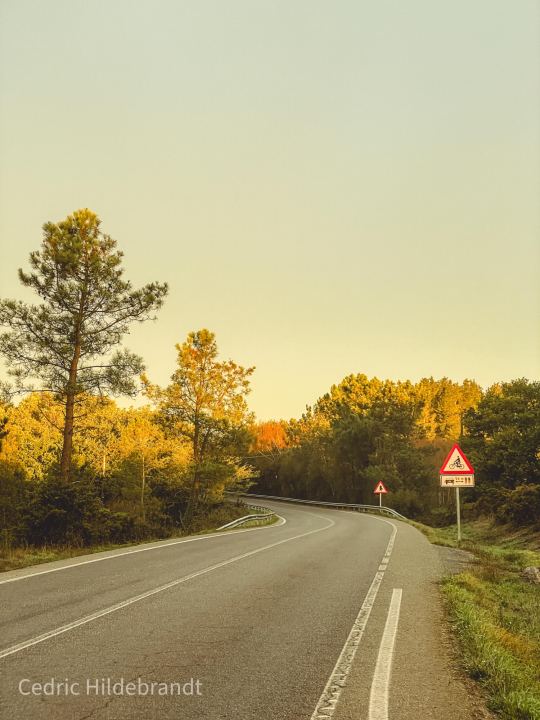 Foto von unterwegs
